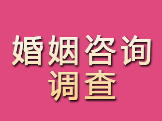 海安婚姻咨询调查